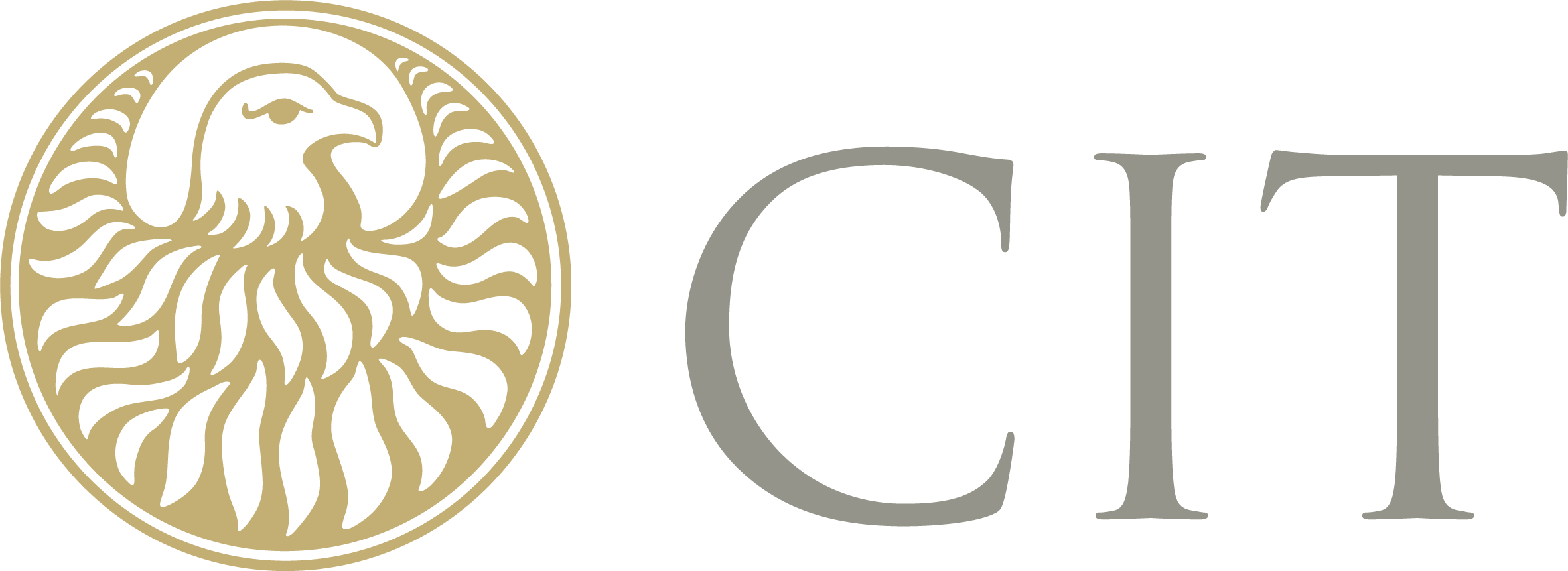 CIT_Logo2020